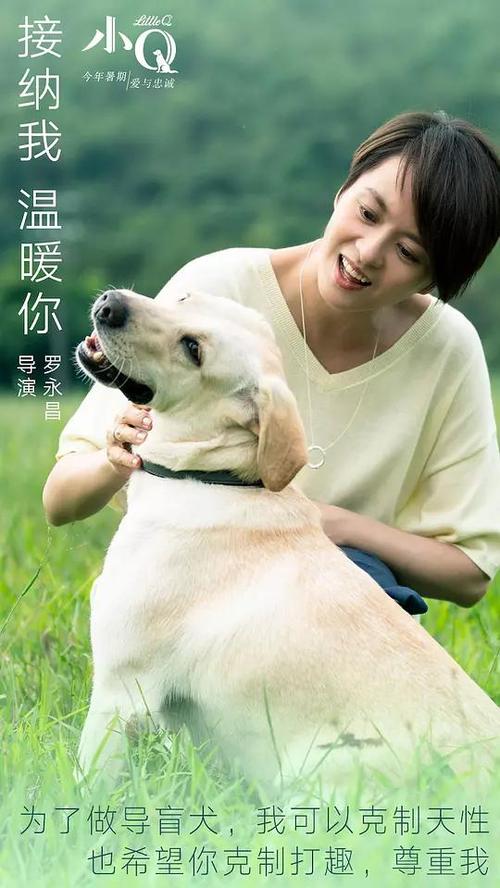 同等学力博士学位证书图